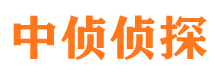 资阳区市婚外情调查